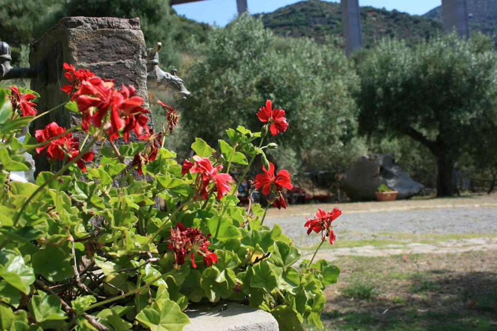 Bed and Breakfast Sumindulau Torre delle Stelle Exterior foto